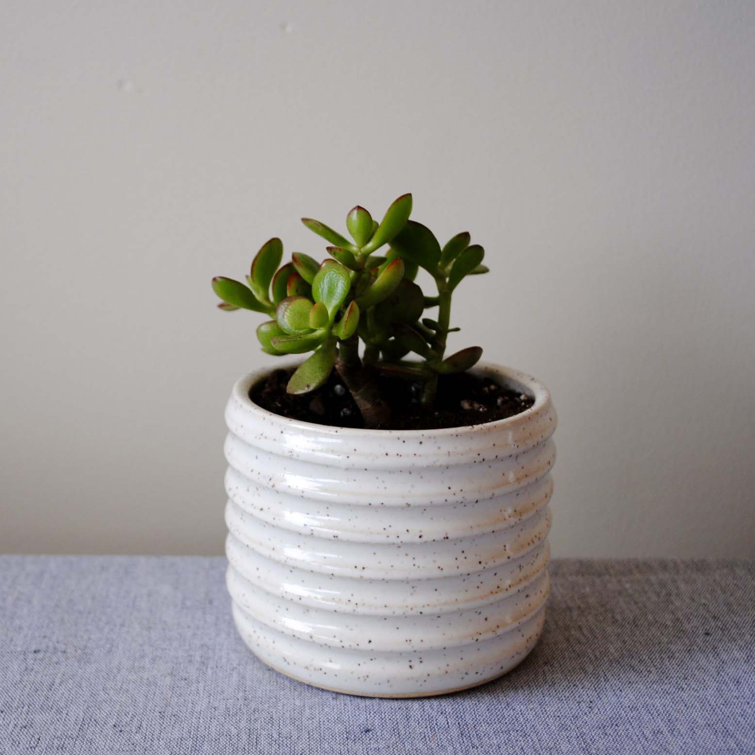 speckled white planters