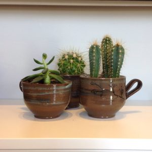 Plant Slip Cups