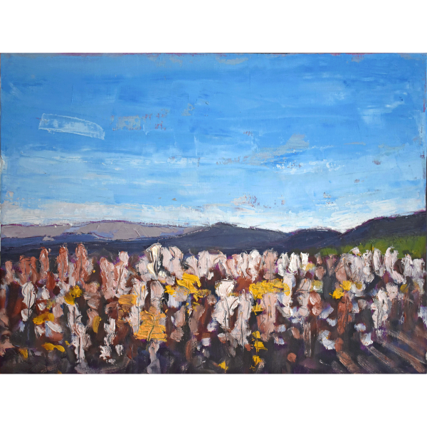 Dreamland - small works collection by Tara Higgins - Fernie BC landscape painter