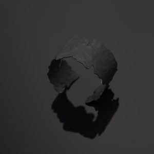 Pursuits-Nova-bangle