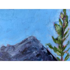 Palette Pedalling by Tara Higgins artist in Fernie, BC - Canadian landscape painter at h squared gallery