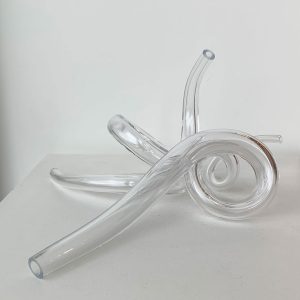 Leah Petrucci's glass sculpture art Intertwined in clear glass