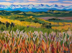 'Foothills Look Out' - 30