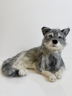 'Grey Wolf'