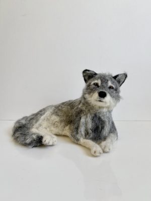 'Grey Wolf'